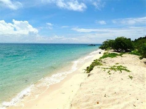 Kamu bisa menyelam bersama ikan pari, lho! 10 Tempat Menarik di Sandakan (2020) | listikel.com