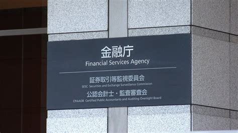 Japans Financial Services Agency Approves Omg Network Token Romisego