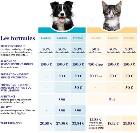 Garde d'animaux et assurance : Assurance chat - chien | Assurances AXA