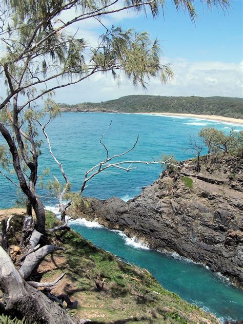 It covers total area of 715,309 sq mi and has estimated population of 4,516,361(census 2010). Noosa National Park Queensland, Australia - Place for ...