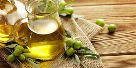 Khasiat minyak zaitun untuk kesehatan dan kecantikan. Apa Saja Manfaat Minyak Zaitun untuk Kesehatan?