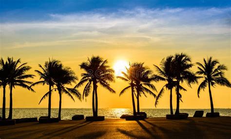 Fantastic Tropical Beach With Palms At Sunset Stock Photo Image Of