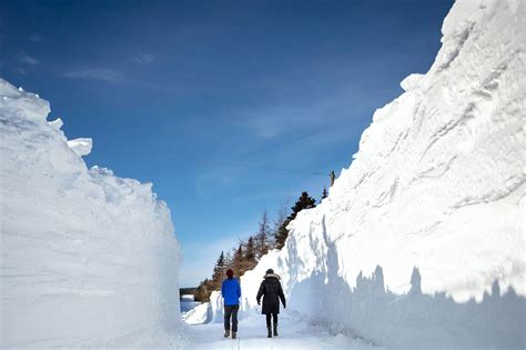 People Are Now Navigating Through Huge Snow Tunnels To Get Around