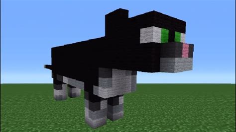 How To Tame A Cat In Minecraft