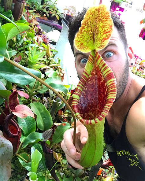 10 Reasons Why You Should Grow An Insect Eating Plant Michael Perry