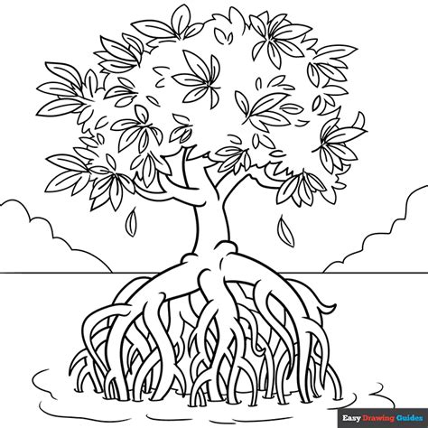 Mangrove Tree Coloring Page Easy Drawing Guides