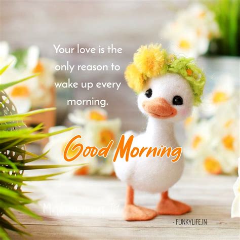 Beautiful Good Morning Quotes Thats Inspire You Every Day