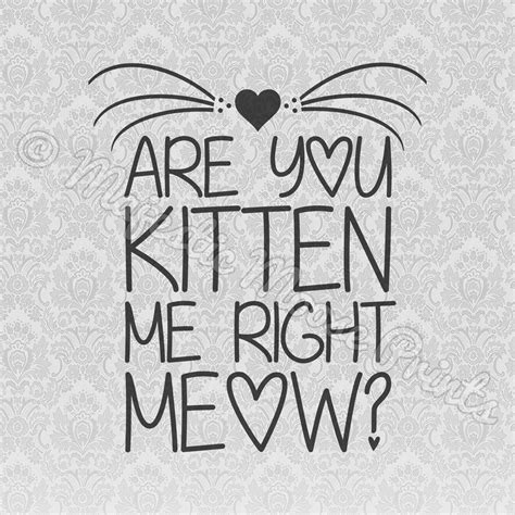 Are You Kitten Me Right Meow Svg Quote Majestic Moose Prints