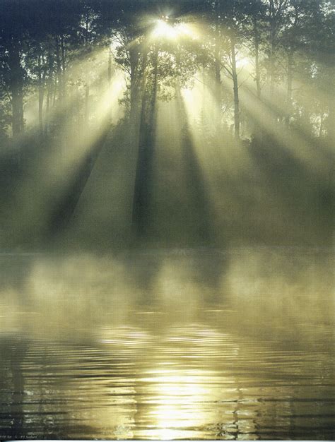 Morning Mists Music From The Heart