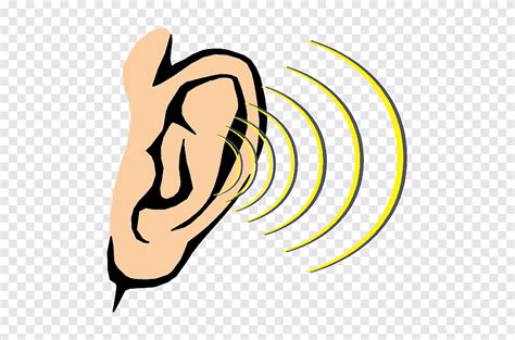 Escuchar Arte Escuchar El Sentido Del Sonido Cuerpo Humano Oído De