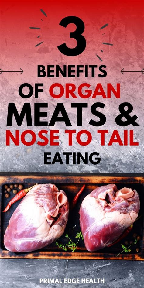 benefits of organ meats and nose to tail eating