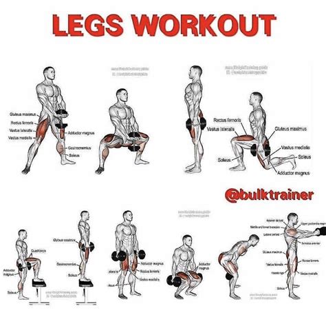 LEG DAY Dumbbell Workout Plan Leg Workouts Gym Full Body