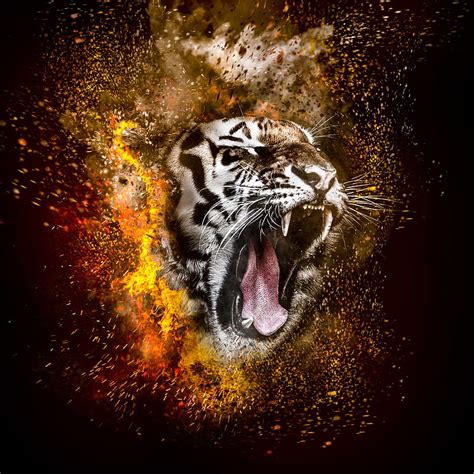 Roar Tigers Of The Sundarbans 2014 Hd Wallpaper Peakpx