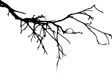 Tree Branch Silhouette Png File