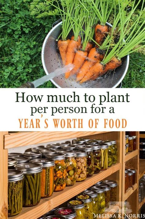 Find content updated daily for cost of gutter. How Much to Plant Per Person for a Year's Worth of Food ...