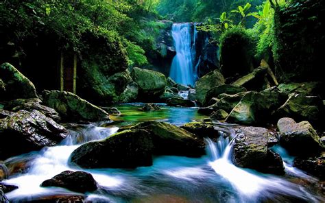 Rainforest Waterfall Wallpapers Top Free Rainforest Waterfall