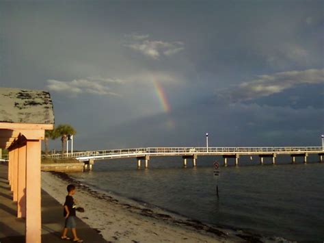 If you're here, you're probably looking for a quality handy man at an affordable price. Williams Pier | Gulfport florida, Florida, Outdoor