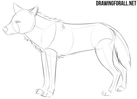 How To Draw An Anime Animal