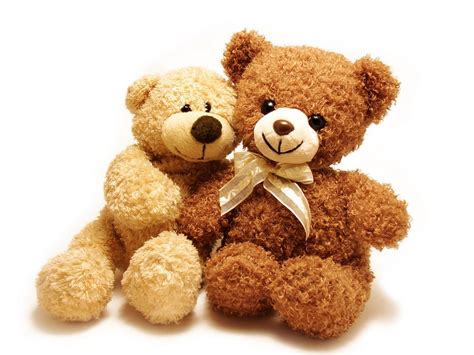 Funny Teddy Bear Wallpaper Funny Animals