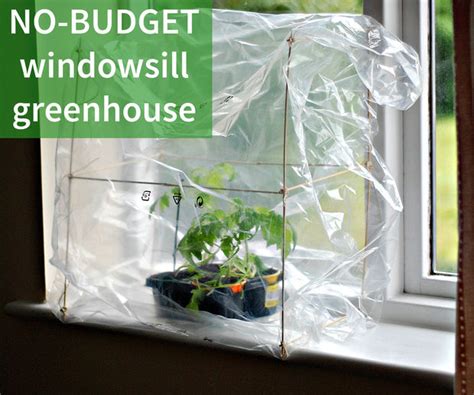 Make Your Own Super Cheap Windowsill Greenhouse The Diy Life