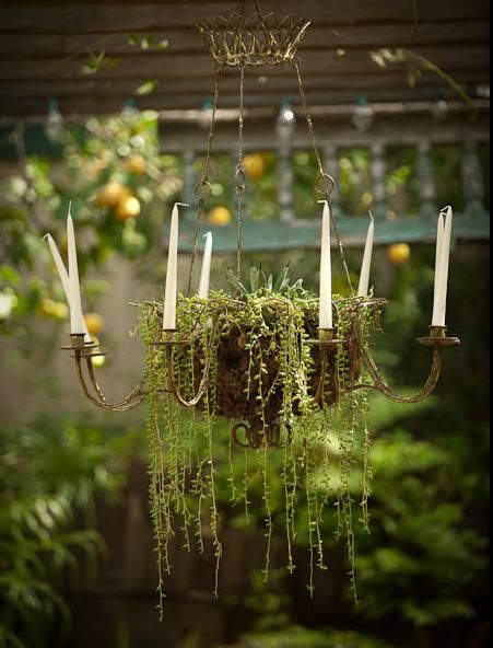 Chandelier Planter Might Be More Fire Safe To Use Fairly Lights On An