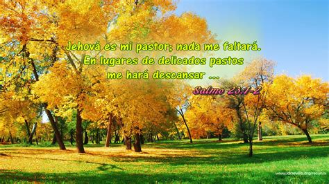 Fondos de pantalla con salmos - Imagui