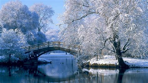 .winter hintergrundbilder hd kostenlos, hochwertige mobile hintergrundbilder für ihr handy. Die 69+ Besten Natur und Winter Hintergrundbilder