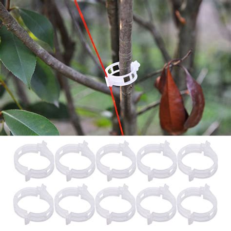 Buy 50pcs Trellis Tomato Fixed Clips Plastic Tied Supports Connects