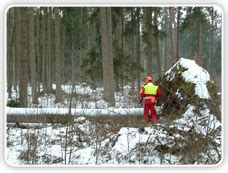 We did not find results for: Augesky Forstdienstleistungen Obertraubling, Forstarbeit ...