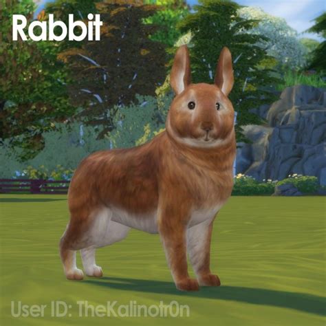 Chinchilla And Rabbit At Kalino Sims 4 Updates Sims 4