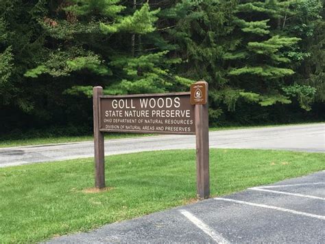 Goll Woods State Nature Preserve Archbold 2020 All You Need To Know