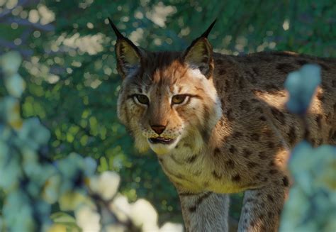 Eurasian Lynx Planet Zoo