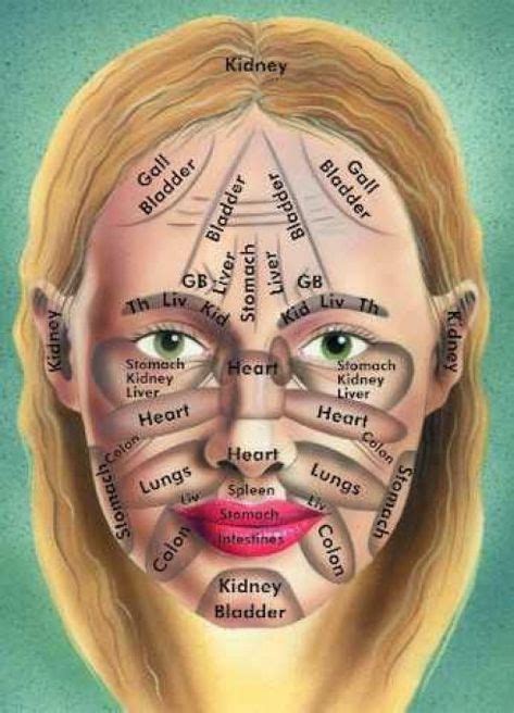 This Is A Great Picture Showing The Lymphatic Area In The Face Did You Know You Can Massage