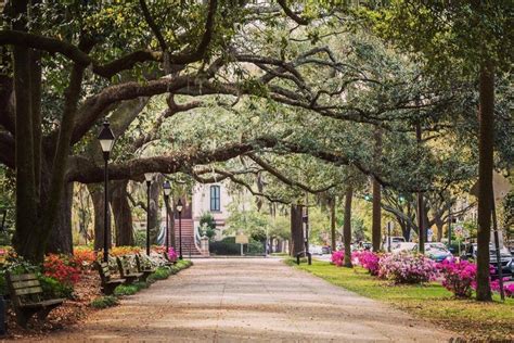 2022 Guide To Savannah Things To Do Shopping Hotels Events