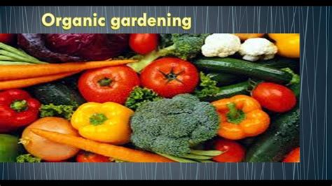 Organic Gardening How To Best Growing An Organic Vegetables Garden