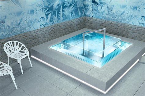 Cold Plunge Pools Market Detailed Analysis And Forecast Up