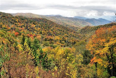 Top 20 Fall Spot On The Blue Ridge Parkway In 2020 Blue Ridge Parkway