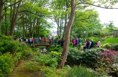 Waterford News And Star — Festival For Japanese Gardens Tramore