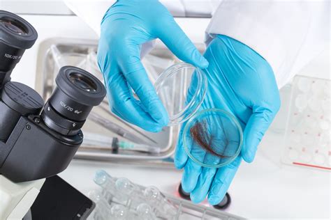Check spelling or type a new query. New Policy Requires Drug Testing For Unemployment