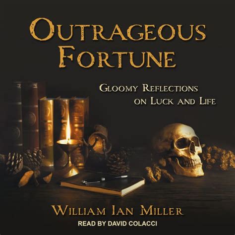 Outrageous Fortune Gloomy Reflections On Luck And Life By William Ian