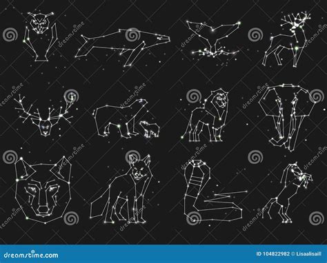 Colección De Constelación De Los Animales En El Cielo Oscuro Animales