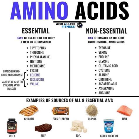 Essential And Non Essential Amino Acids Jamaronewtbarrett