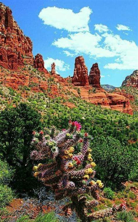 Sedona Arizona Nature Photography Beautiful Nature Beautiful