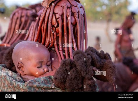 Women Of The African Himba Tribe Return Home To The Village Near Opuwo Town In Namibia South
