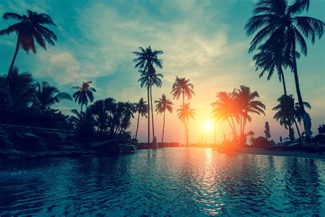 Wallpaper Sunset Palm Trees Tropical Beach Hd Nature