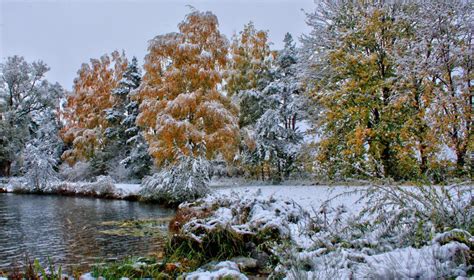Nature Landscapes Trees Forests Autumn Fall Seasons Winter Snow Frost