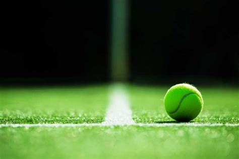 Wimbledon Tennis Facts And Figures 20222023 ǀ Truly Experiences