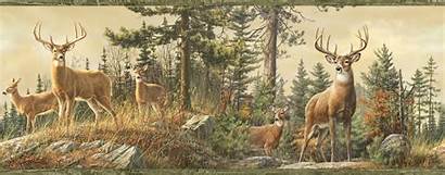 Deer Camo Hunting Whitetail Buck Crest Wallpapersafari