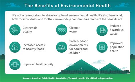 8 Environmental Factors That Affect Health Regis College Online
