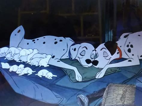 2 Love Dalmatian Dogs By 101 Dalmatians 💛💛💛💛 Disney Sketches Disney